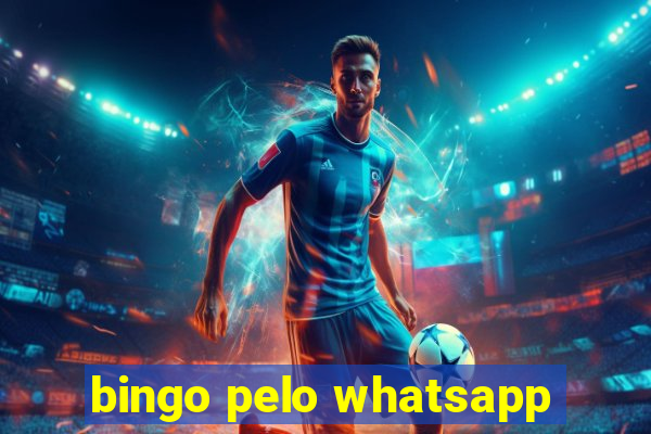 bingo pelo whatsapp